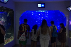 HdM Aquarium